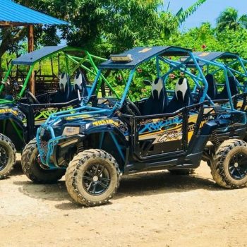 Diferencias entre buggy normal y buggy Predator o Polaris
