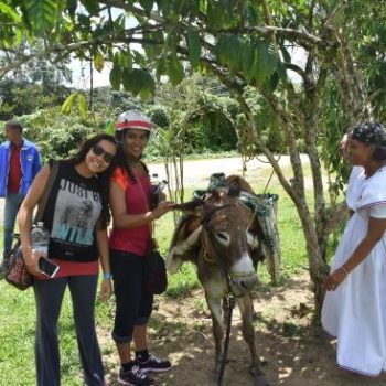 Domtours 24242 (31)